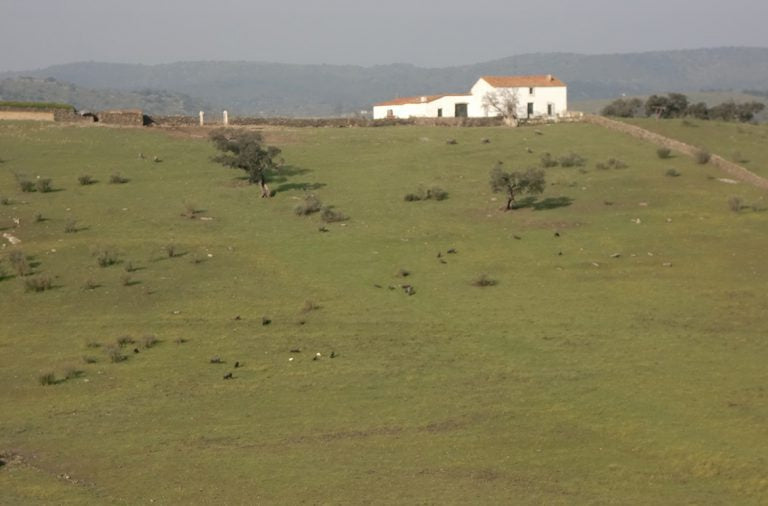 La Dehesa de la Vallée de Los Pedroches